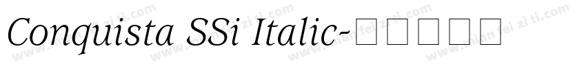 Conquista SSi Italic字体转换